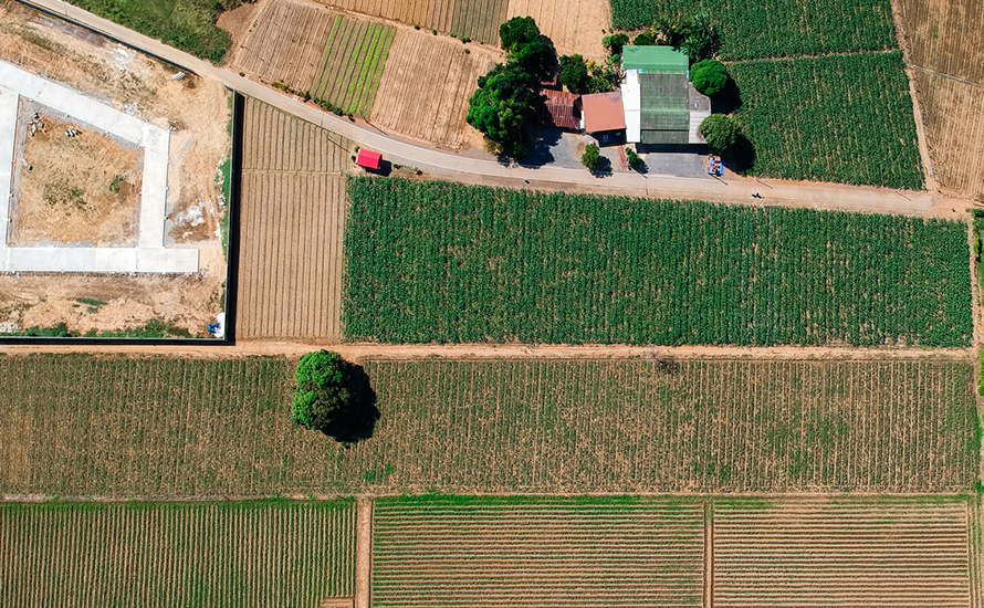 Guía legal: ¿se puede construir en terreno rústico y qué requisitos necesito?